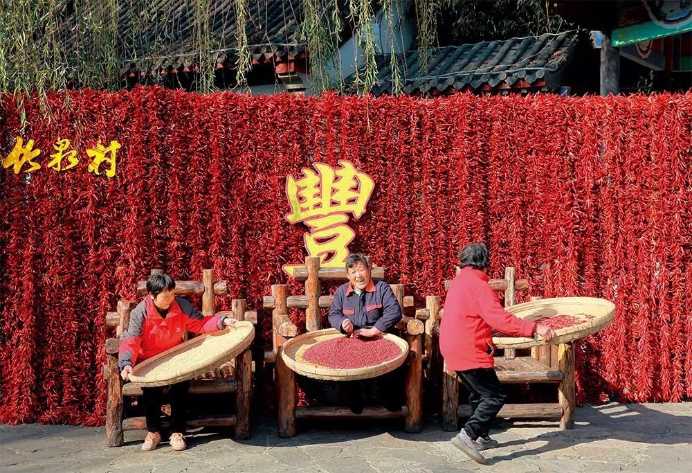 山东省临沂市沂南县铜井镇竹泉村村民在晾晒粮食（2021年11月13日摄）范长国摄/ 本刊