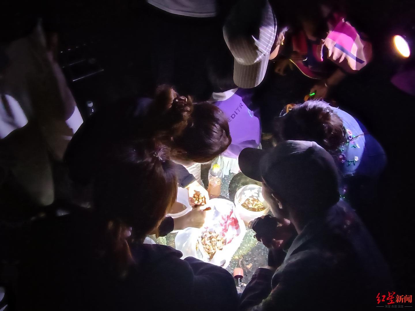 油炸知了成网红美食:金蝉价格10年涨5倍,千人上山抓蝉有人月入数千