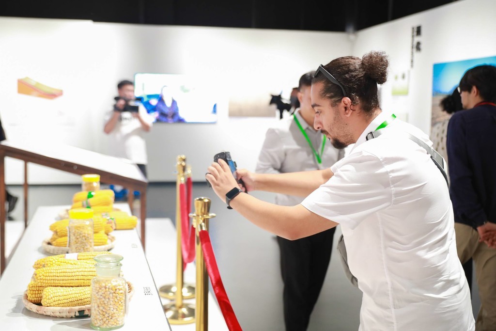土耳其光明报北京分社记者Kubilay Cel Celik在拍摄玉米品种展台。