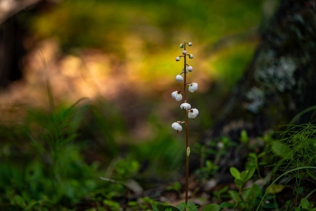 色彩、自然与人文的冲击 尼康Z 7Ⅱ一机三镜行摄大美新疆