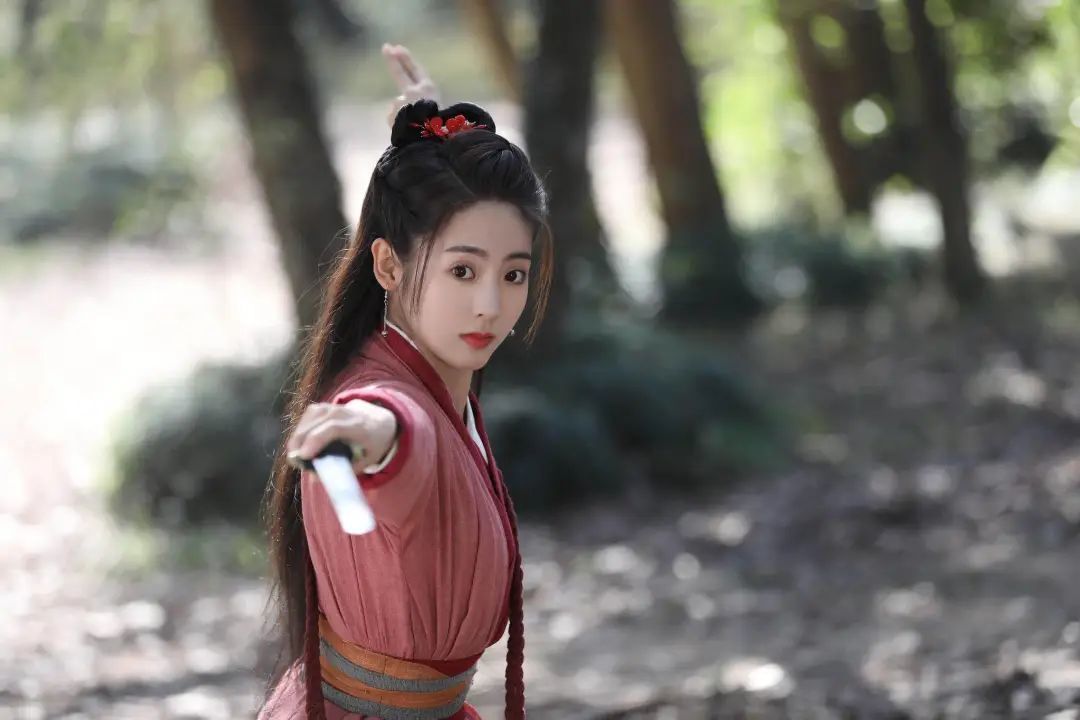 《儒林外史》中的女性:侠女沈琼枝,一朵多刺的玫瑰_凤凰网