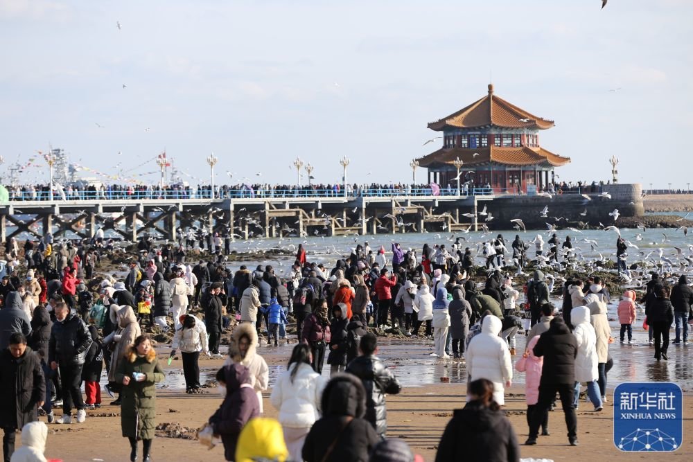 ↑1月25日，游客在山东省青岛栈桥风景区游玩。新华社发（黄杰显 摄）