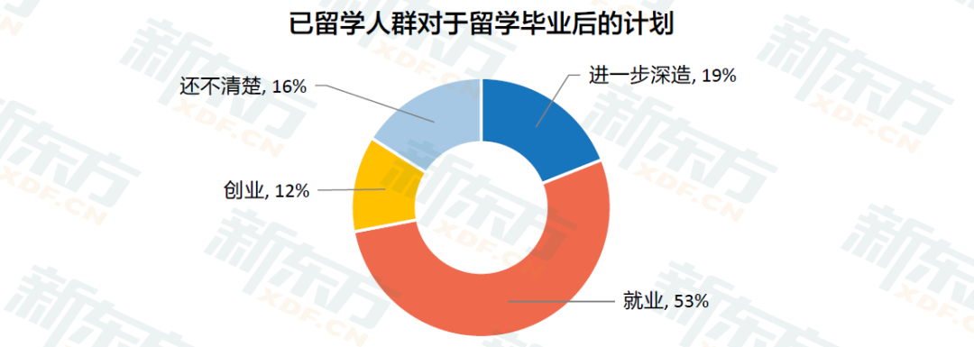 已留學人群對于留學畢業(yè)后的計劃/新東方