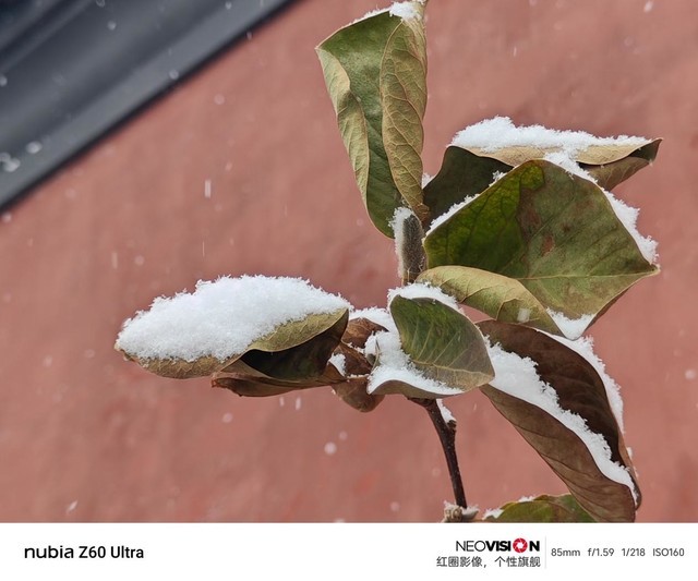 【有料评测】努比亚Z60 Ultra全面评测 特立独行的好旗舰