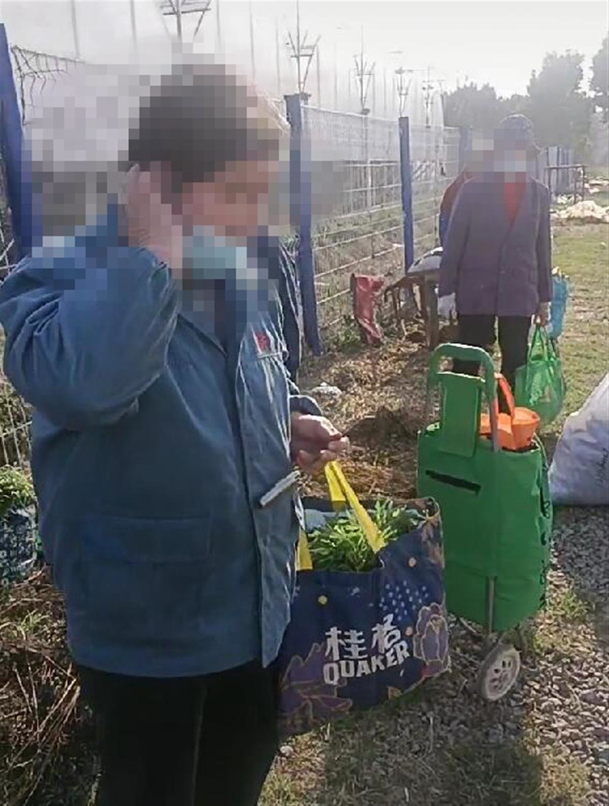 视频截图