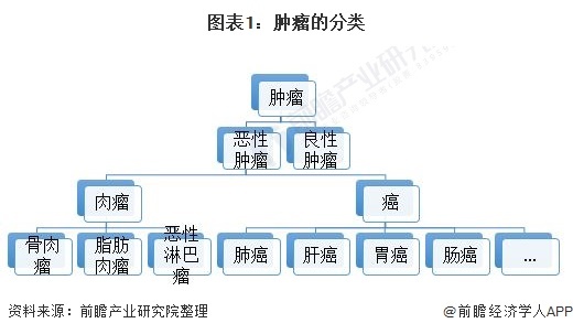 图表1:肿瘤的分类