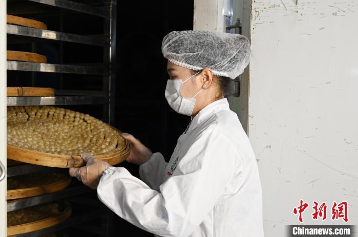 高州市分界镇江记水果专业合作社的工作人员在检查桂圆肉(干)烘干程度。　陈楚红 摄