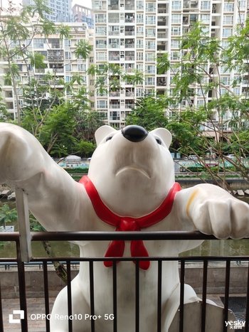 OPPO Reno10 Pro+评测:光影由远及近,让长焦真正回归人像!