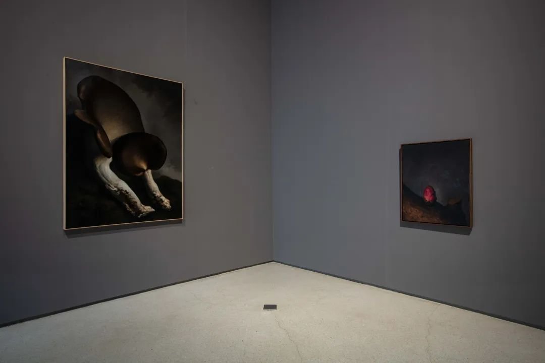 ▲ “趣时”展览现场,闫冰作品在红砖美术馆展览现场,2023