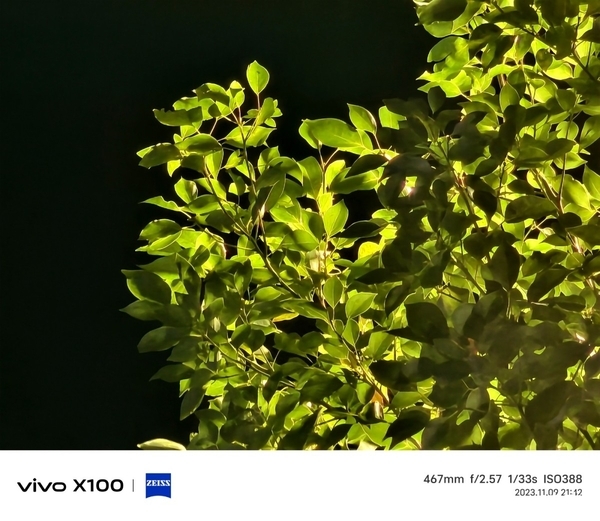 首发天玑9300旗舰芯,vivo X100带来满分旗舰体验