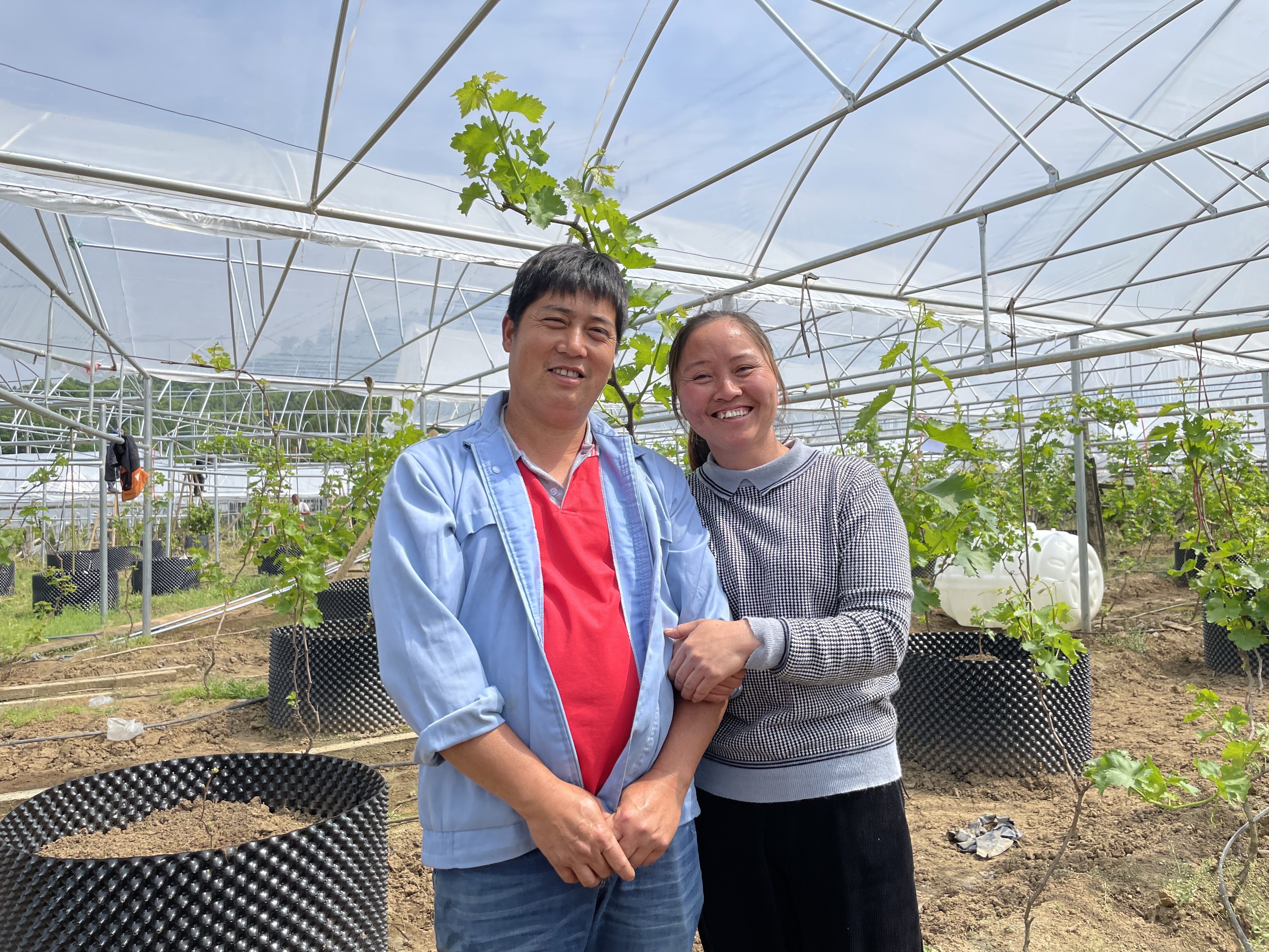 葡萄园种植示范基地（小村庄的新亮点”