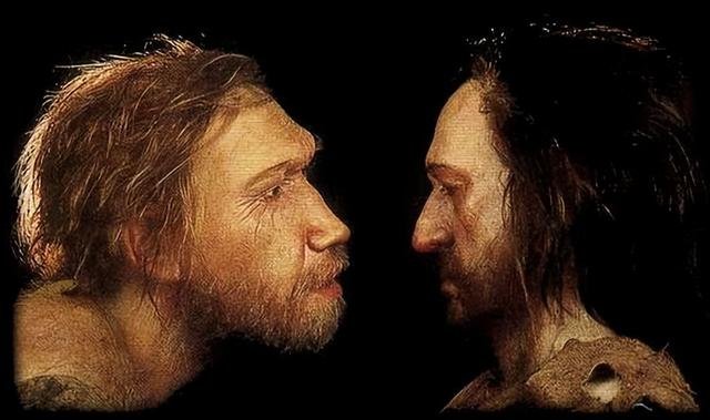 “黑暗森林” 一种原始而低幼的社会学狂想