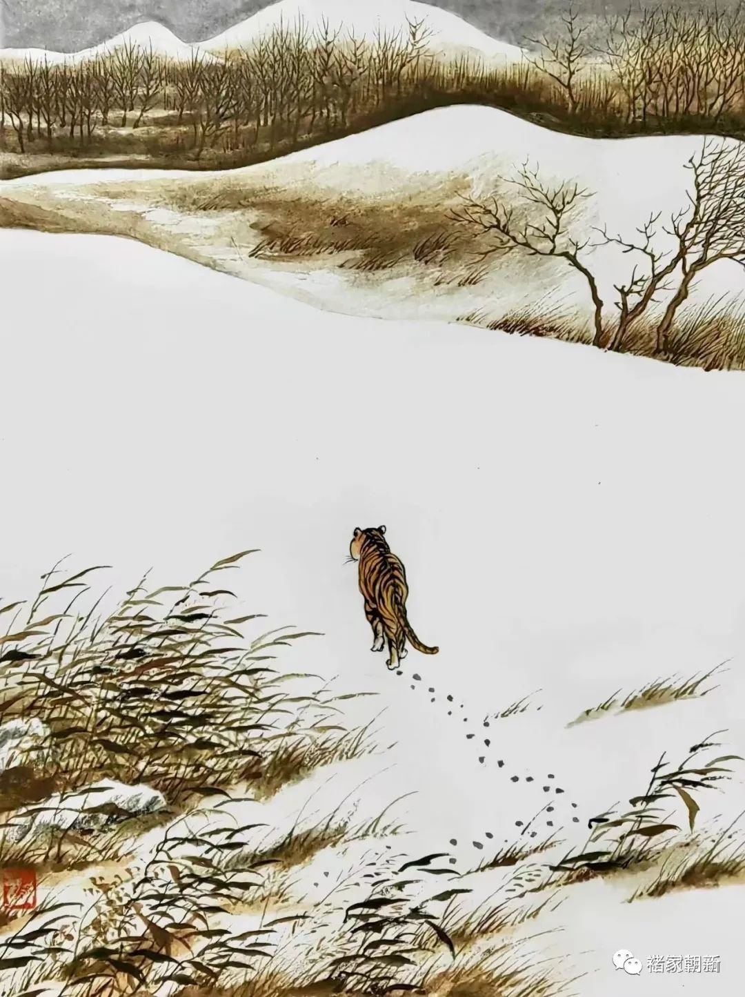 图转自微信公号“老树画画”,我特别喜欢的一个公号,推荐大家关注。