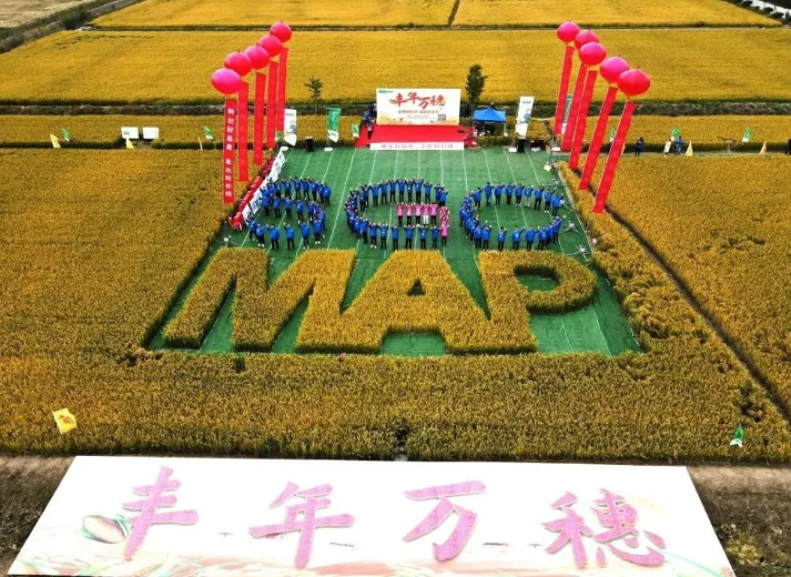 共筑现代农业产业互联流通优势,汇通达与中化MAP达成战略合作_凤凰网
