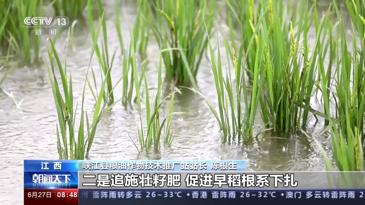 上海助孕机构排行（北方高温南方暴雨）南方暴雨对农产品影响，