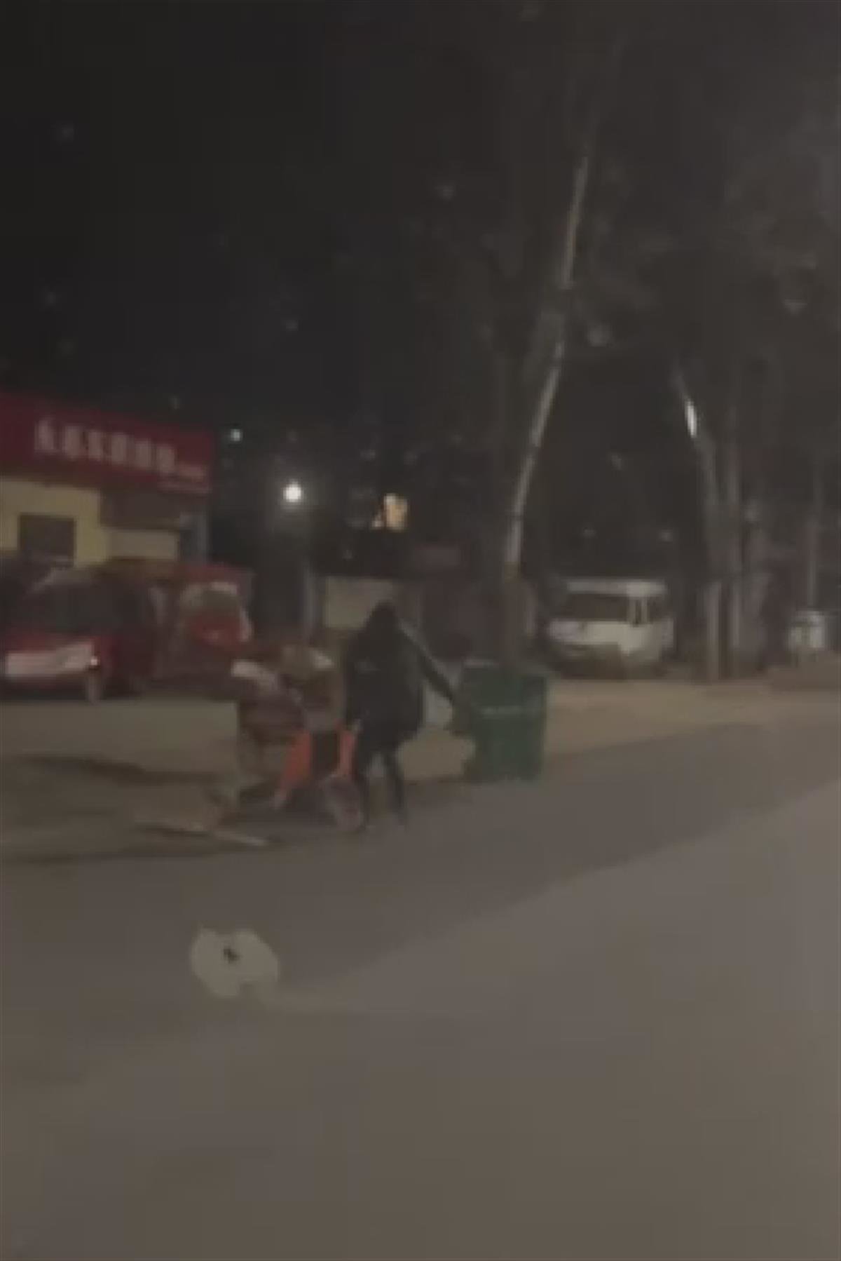 女子深夜持械殴打环卫工人(视频截图)