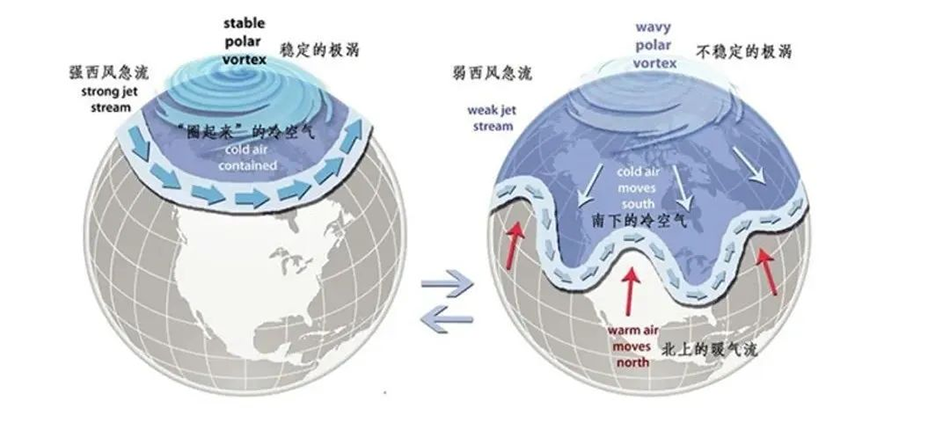 极区大气环流示意图。中国气象报 图