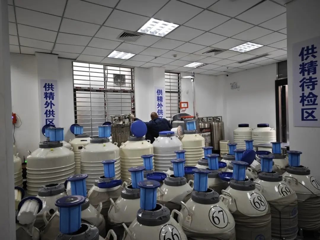 2月14日,广东人类精子库精子储藏室。/新周刊记者摄