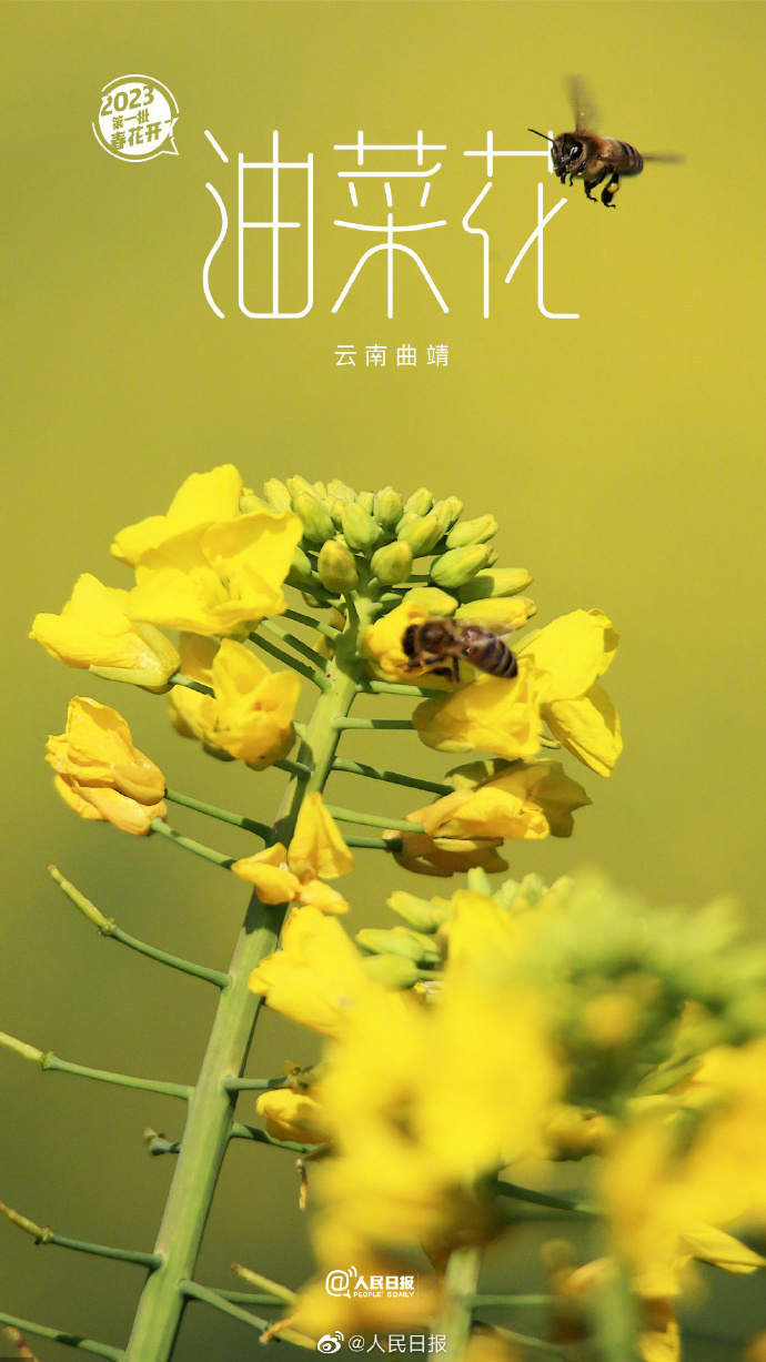 1.jpg?x-oss-process=style/w10