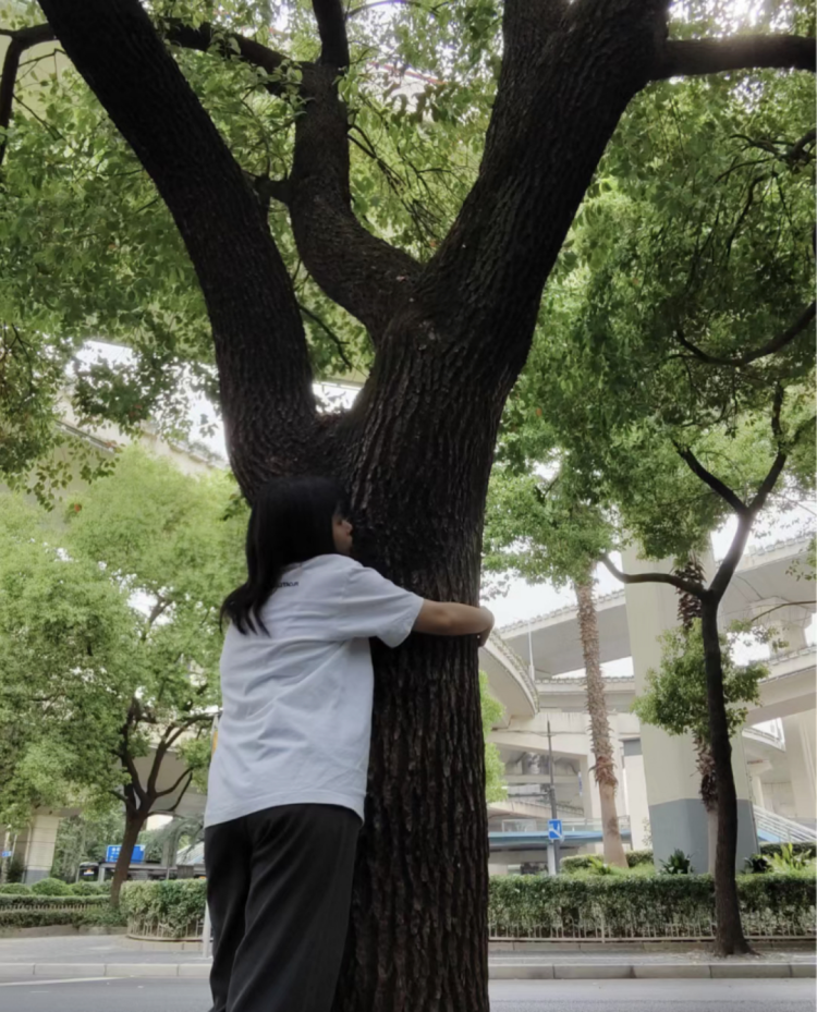 绝了,他们抱树治内耗_凤凰网