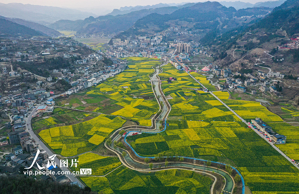 2023年3月11日,四川省泸州市古蔺县双沙镇,金灿灿油菜花海与远山、河流、村落交相辉映,展现出一幅斑斓的乡村画卷。刘学懿摄(人民图片网)