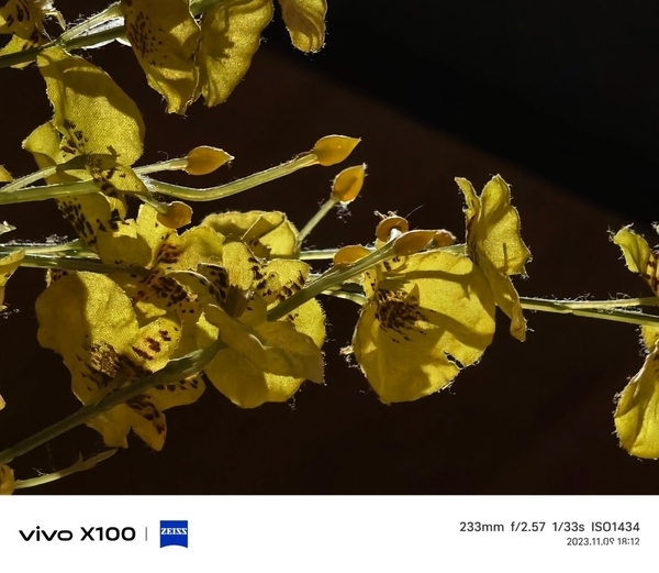 首发天玑9300旗舰芯,vivo X100带来满分旗舰体验