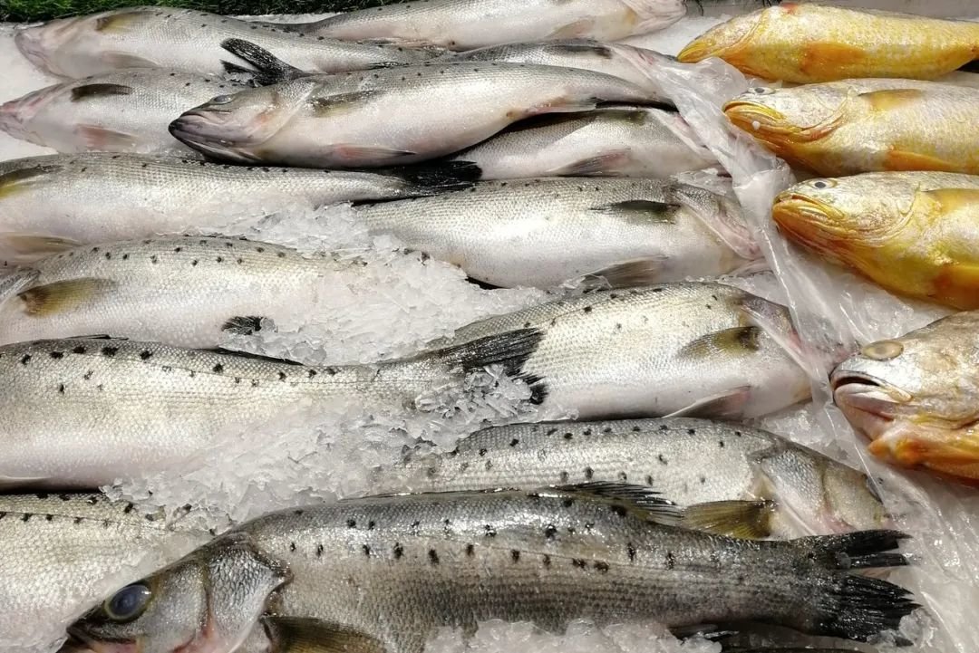 图库版权图片,不授权转载