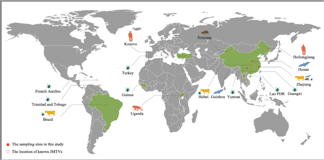 病毒学家张永振:未来5年还会不会出现新发突发传染病?可能规模不会像新冠这么大,但出现是必然
