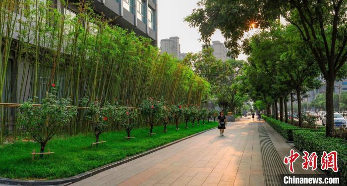 临汾市区街景。　临汾市城市管理局供图