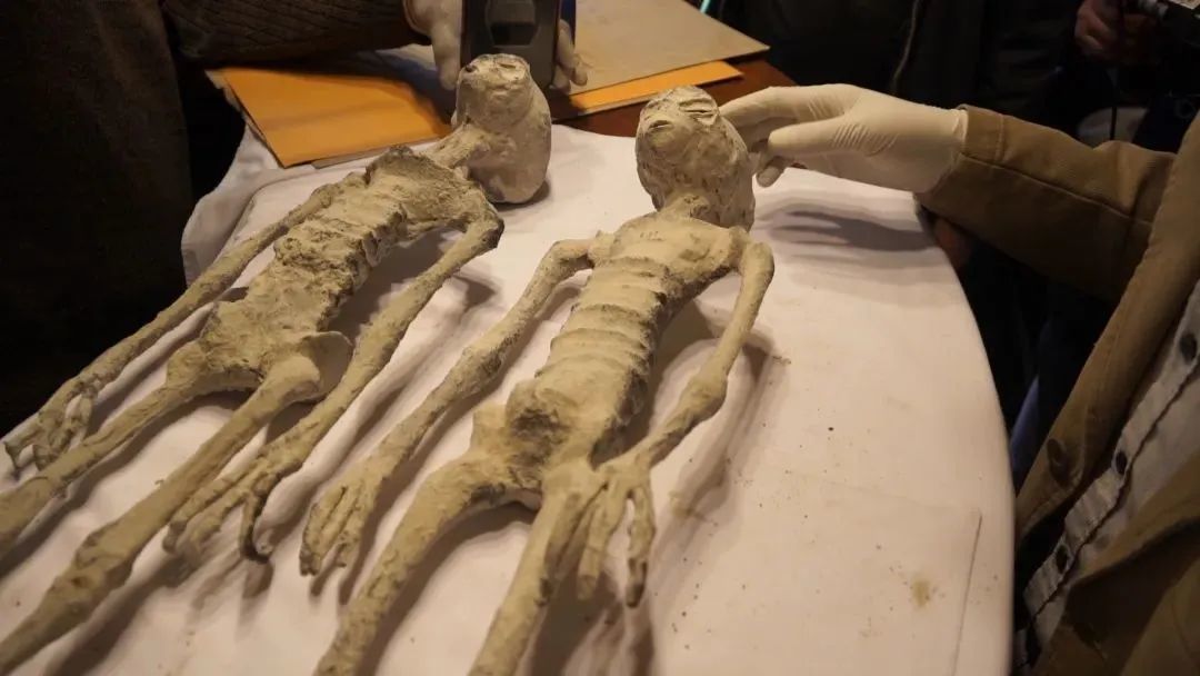 2017 年，秘鲁的纳斯卡发现“外星人尸体”