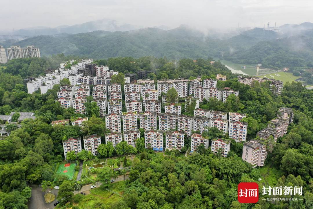 9月11日，雨中的澳洲山庄。