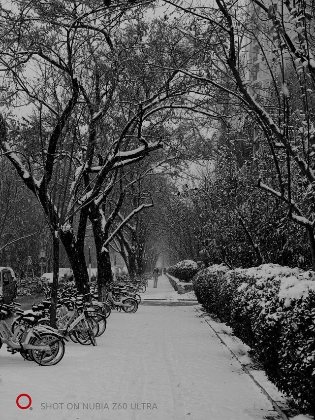 【有料评测】努比亚Z60 Ultra全面评测 特立独行的好旗舰