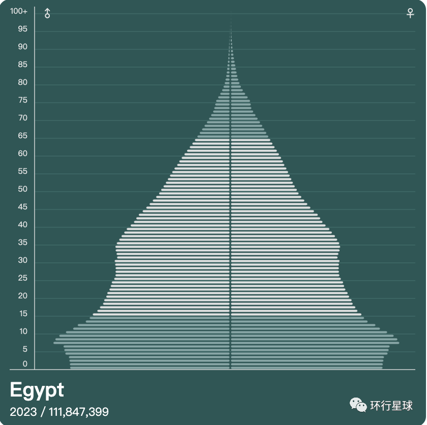 埃及的人口金字塔。图：population-pyramid.net
