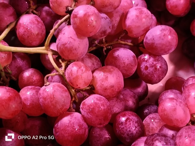 OPPO A2 Pro全面评测:精致更有品质