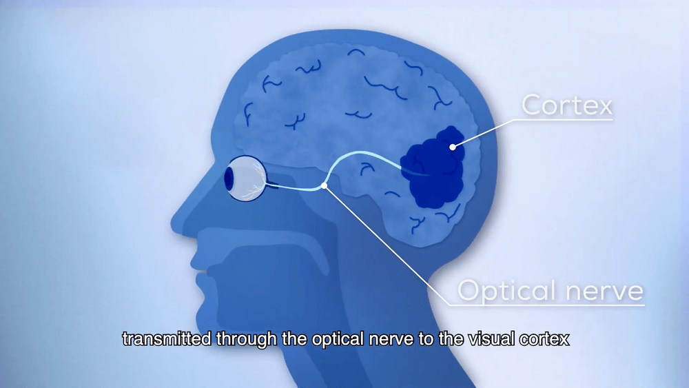高通万卫星:生成式AI落地端侧,解密高通的软硬件AI大招丨GACS 2023