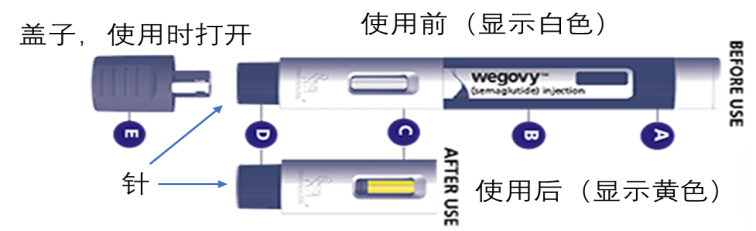 圖：一次性使用的Wegovy減肥針設(shè)計(jì)示意圖