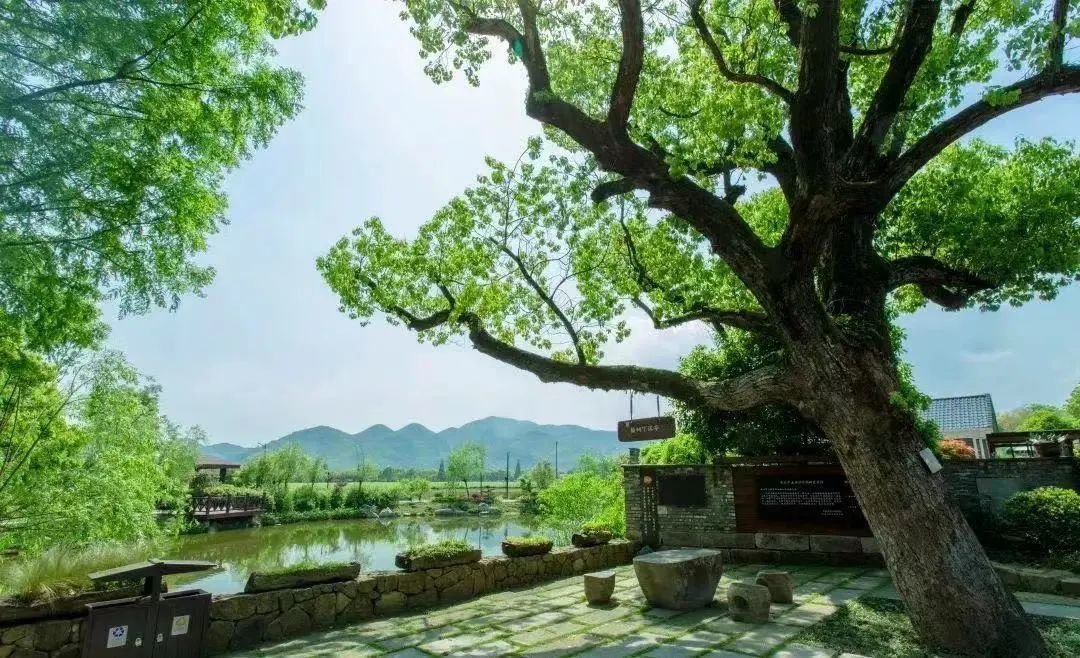 杭州市餘杭區徑山鎮小古城村的