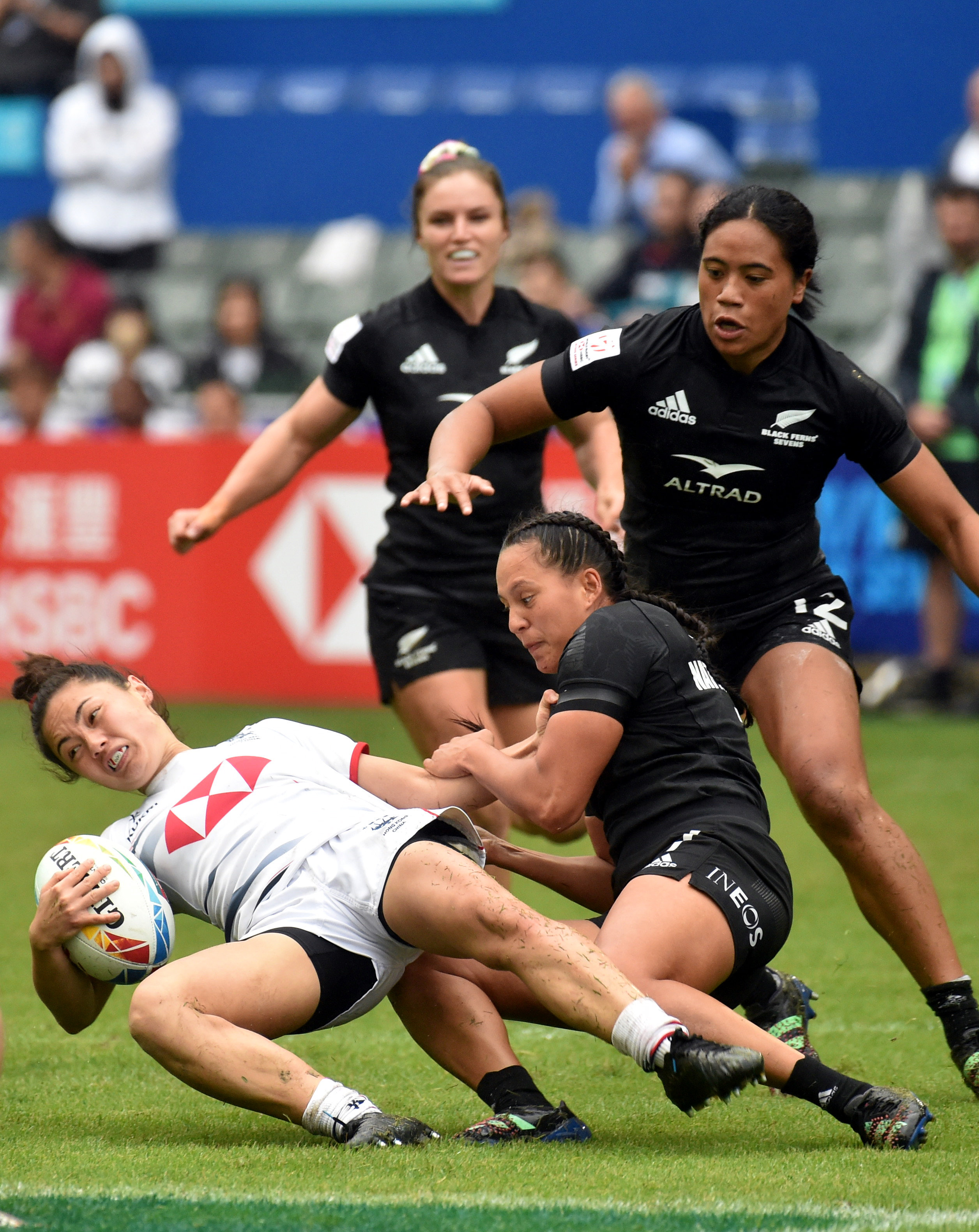 只要气氛好，下点雨又如何？——香港“七榄”侧记