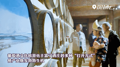 酒庄游为西夏区旅游产业增添新业态