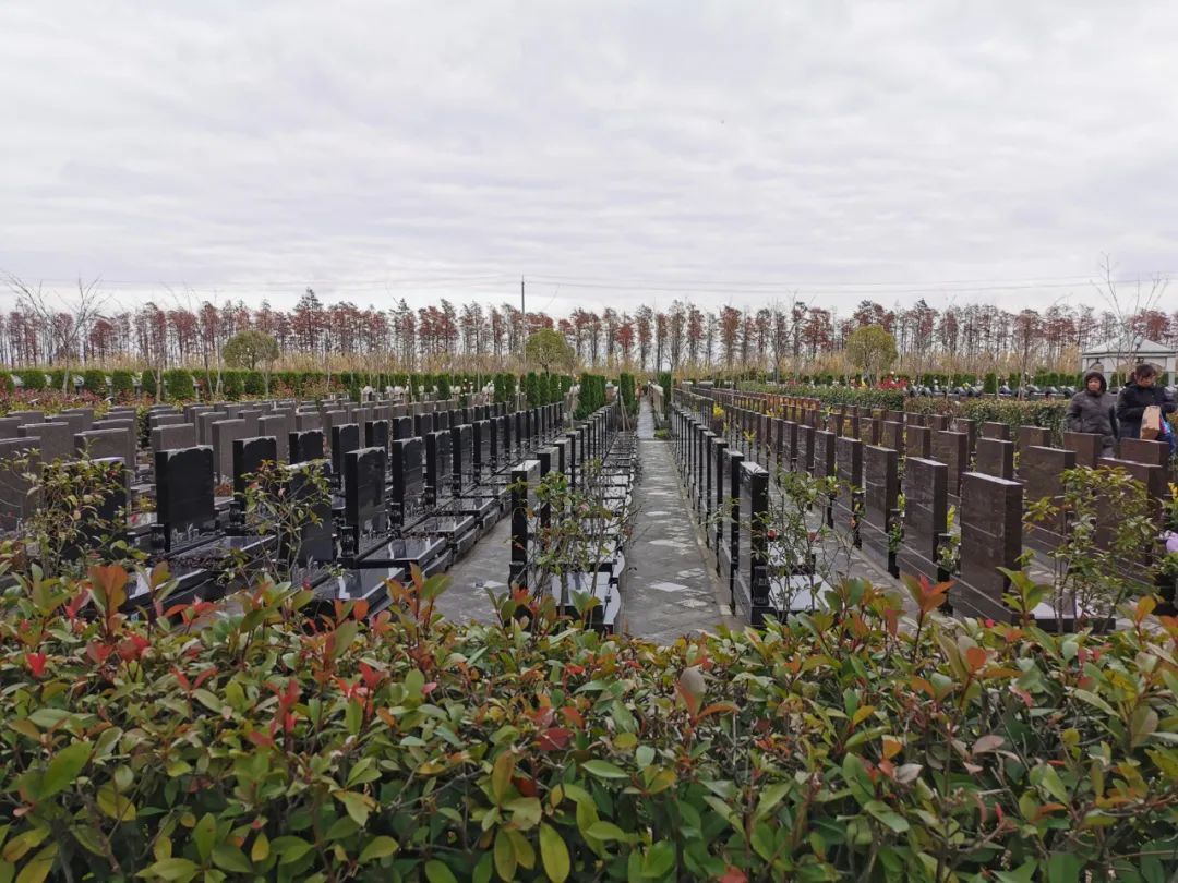 ●上海某墓地