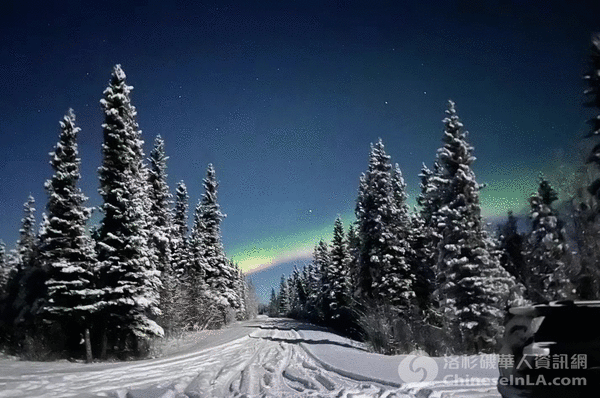 图：林同学在阿拉斯加旅行期间所拍摄的极光。（来源：受访者提供）