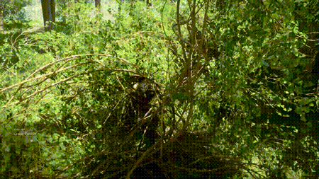 《红色沙漠》科隆游戏展宣传片 - 1.《红色沙漠》科隆游戏展宣传片(Av787606054,P1)_08月23日11时26分47秒.gif