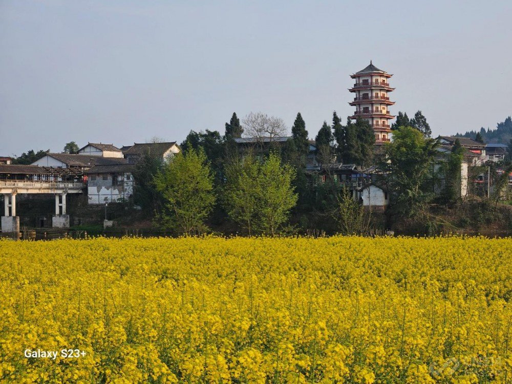 除了大小 三星Galaxy S23和S23+区别在哪