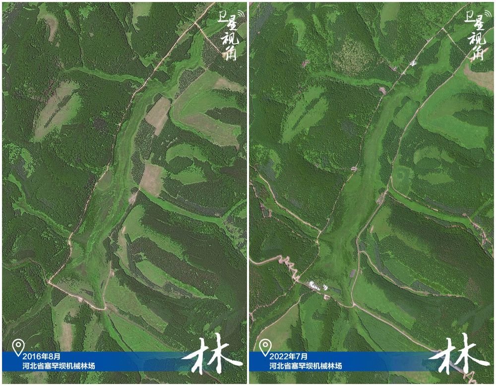 ↑2022年跟2016年相比，塞罕坝林场内石质荒山绿化更明显。