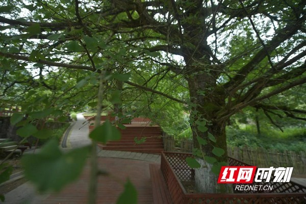 微信图片_20231012155655.marked.jpg