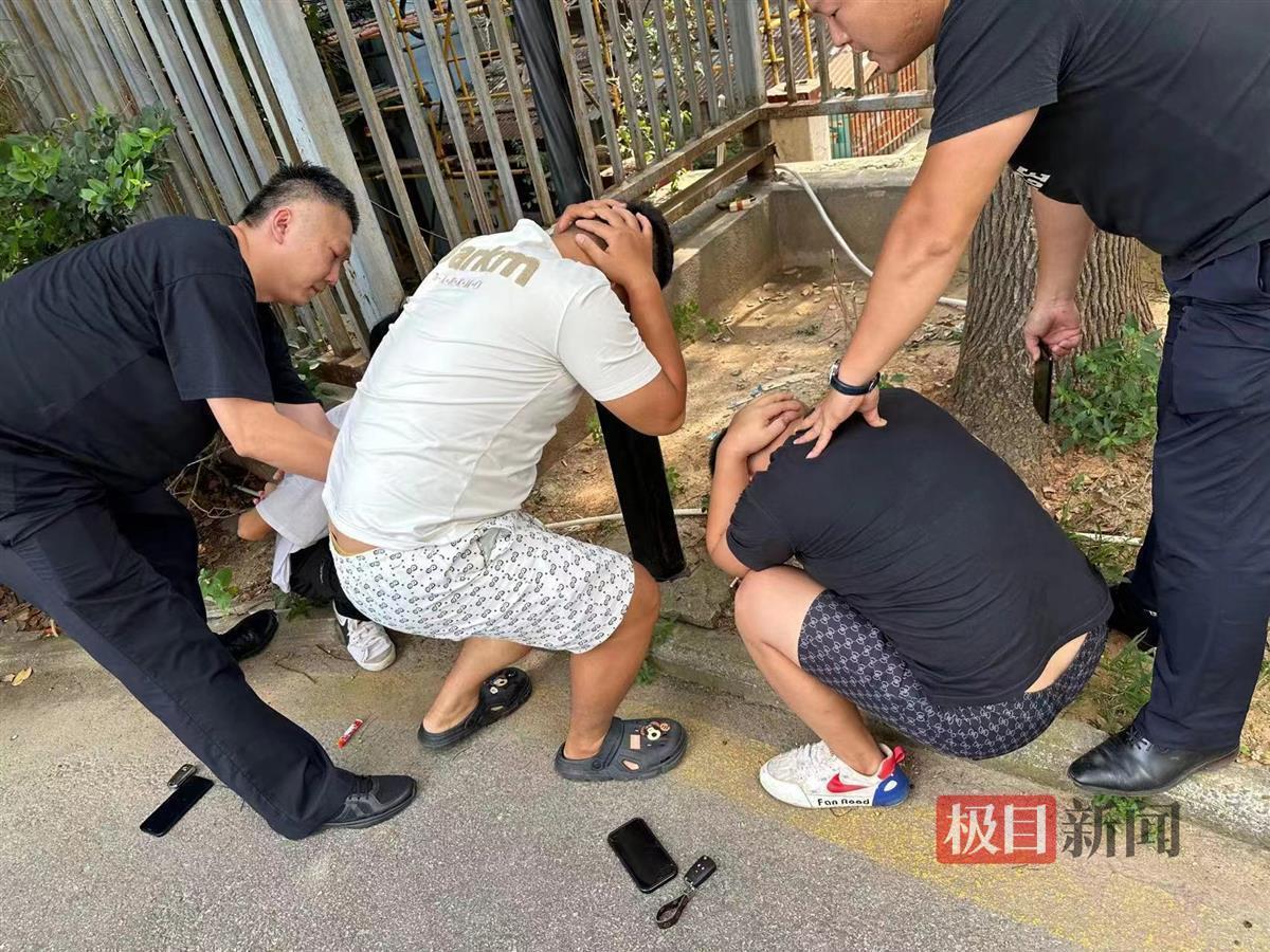 内容图片