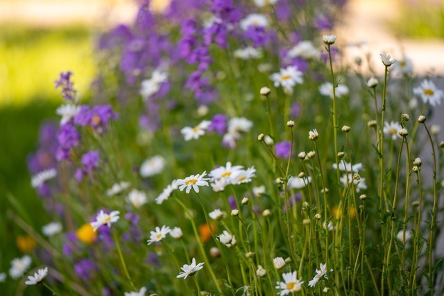 色彩、自然与人文的冲击 尼康Z 7Ⅱ一机三镜行摄大美新疆