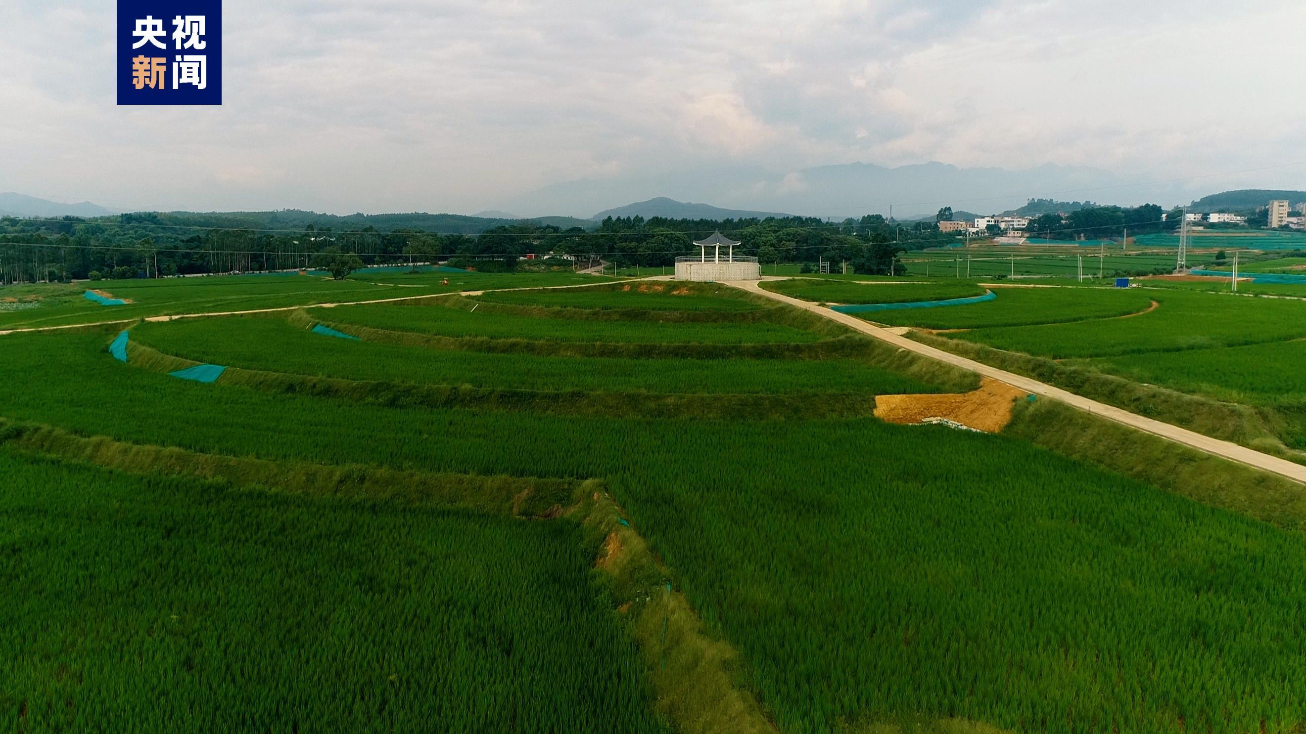 △韶关浈江区垦造水田