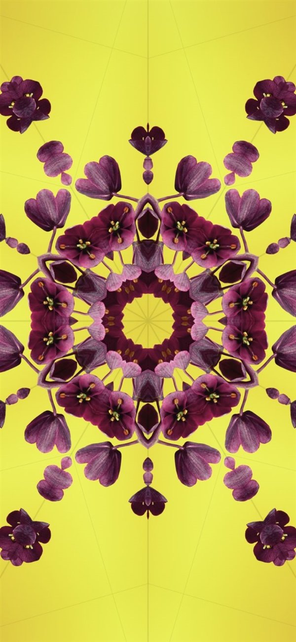 提前感受iPhone 15!iOS 17全新壁纸免费下载