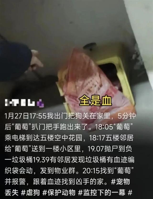 打死狗犯了什么法律（宠物狗被邻居砍18刀，警方立案调查）